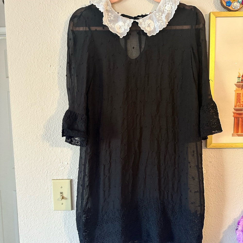 Zara Black Peter Pan Collar Tunic NWT Lace M